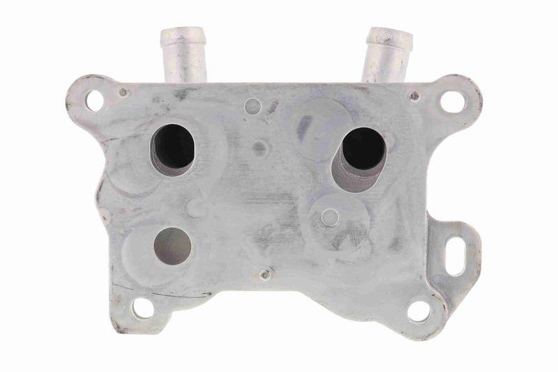 ACKOJA A38-60-0004 Ölkühler, Motoröl für NISSAN