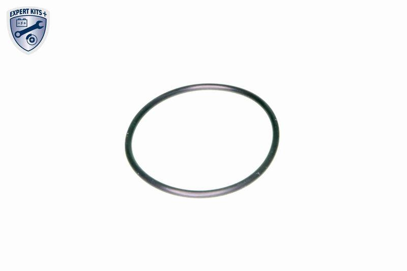 VAICO V10-0440 Hydraulikfilter, Automatikgetriebe 6-Gang DSG® (DQ250) für VW