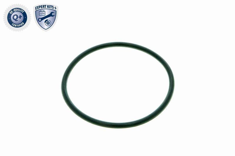 VAICO V10-0440-1 Hydraulikfilter, Automatikgetriebe 6-Gang DSG® (DQ250) für VW