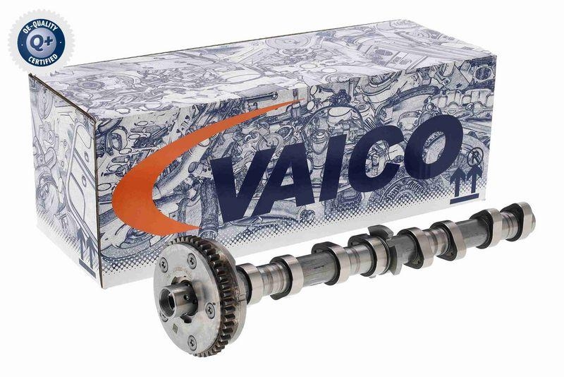 VAICO V10-5585 Nockenwellenversteller Einlassseite, mit Nockenwelle für VW