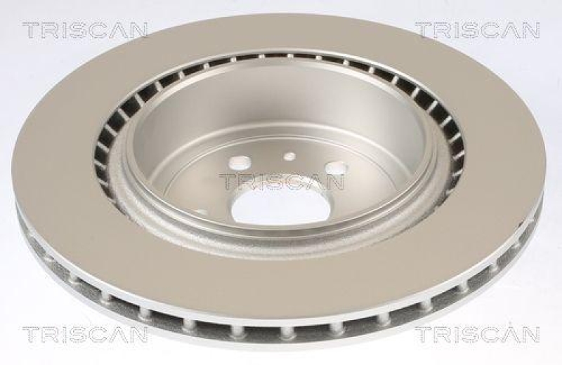 TRISCAN 8120 81002c Bremsscheibe Hinten, Coated f&uuml;r Tesla