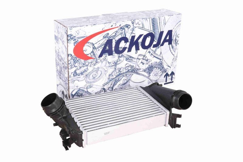 ACKOJA A38-60-0026 Ladeluftk&uuml;hler f&uuml;r NISSAN