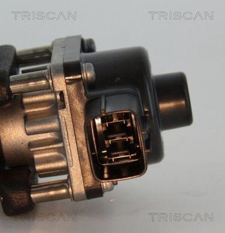 TRISCAN 8813 24033 Agr Ventil f&uuml;r Opel/Gm