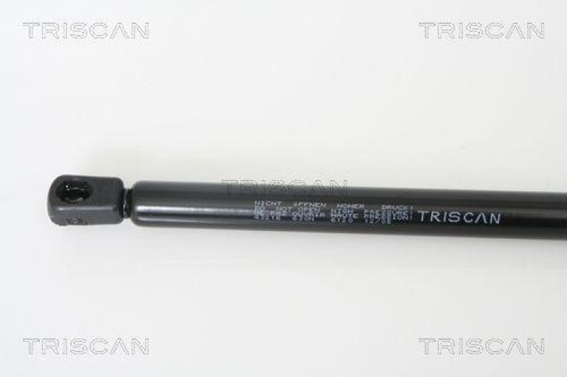 TRISCAN 8710 43216 Gasfeder Hinten f&uuml;r Hyundai Matrix