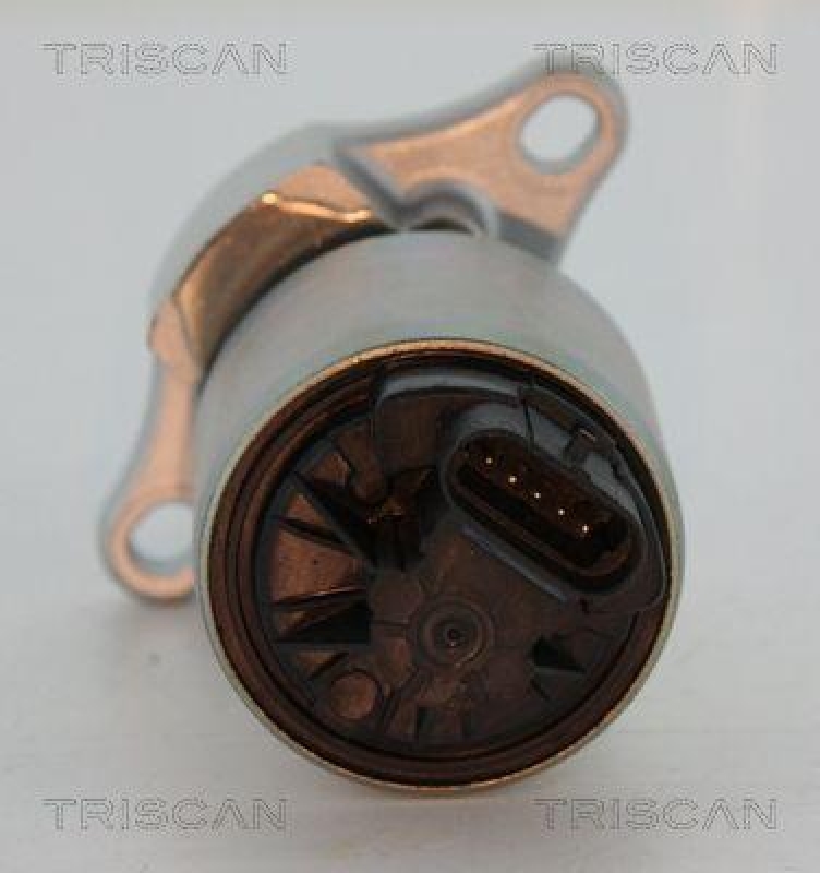 TRISCAN 8813 24081 Agr Ventil f&uuml;r Opel/Saab