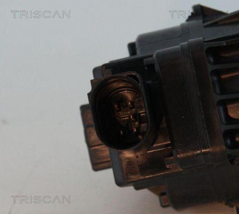 TRISCAN 8813 24083 Agr Ventil f&uuml;r Opel/Gm