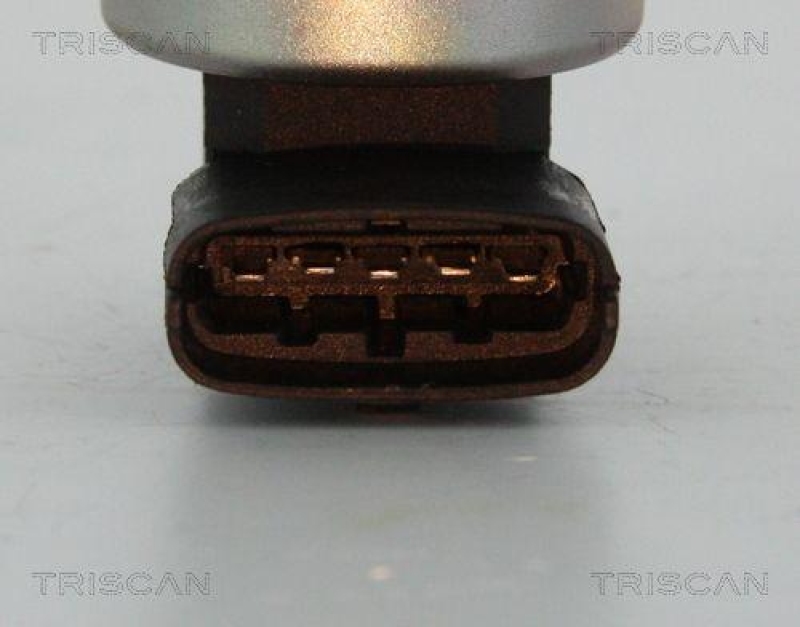 TRISCAN 8813 24200 Agr Ventil f&uuml;r Opel