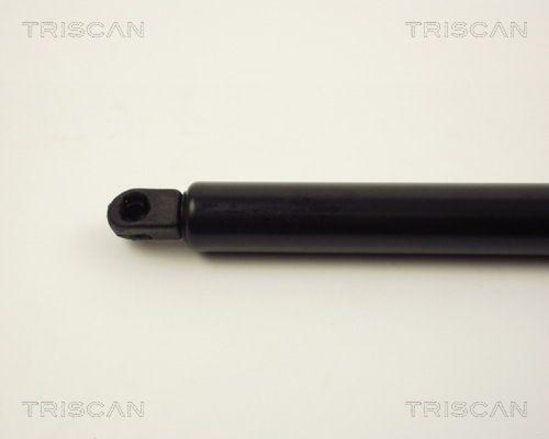 TRISCAN 8710 10200 Gasfeder Hinten f&uuml;r Ford, Seat, Volkswagen