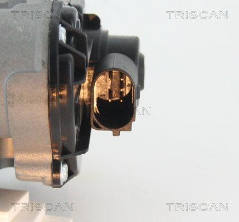 TRISCAN 8813 25010 Agr Ventil f&uuml;r Renault/Dacia