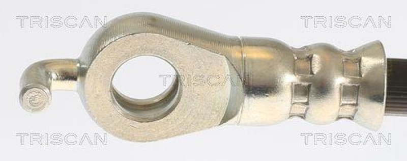 TRISCAN 8150 132024 Bremsschlauch Hinten f&uuml;r Toyota, Lexus