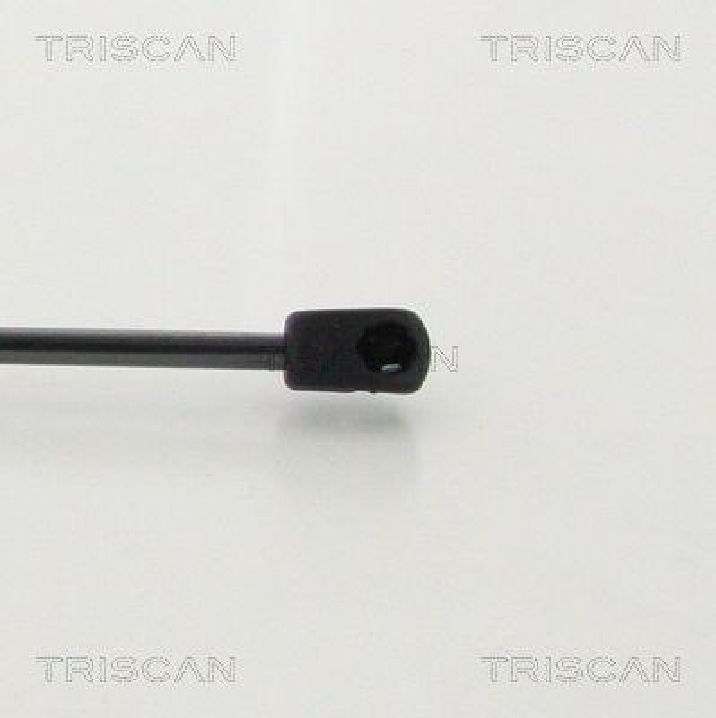 TRISCAN 8710 43246 Gasfeder Hinten für Hyundai I10