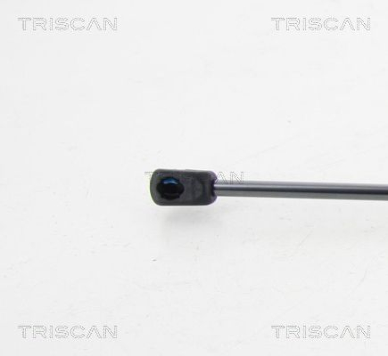 TRISCAN 8710 10211 Gasfeder Hinten für Opel Agila, Suzuki Splash