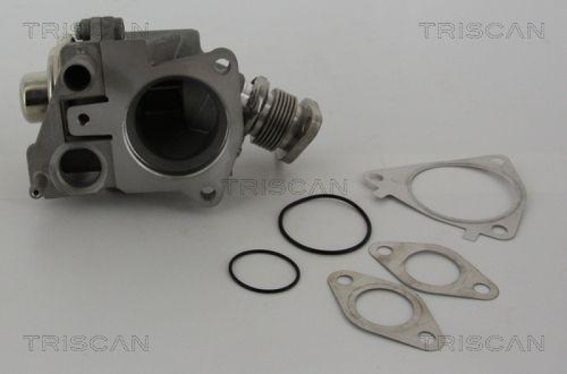 TRISCAN 8813 28019 Agr Ventil f&uuml;r Psa