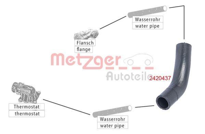 METZGER 2420437 K&uuml;hlerschlauch f&uuml;r AUDI/SEAT