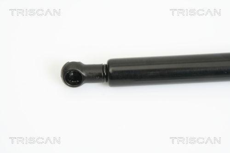 TRISCAN 8710 11115 Gasfeder Vorne für Bmw X3