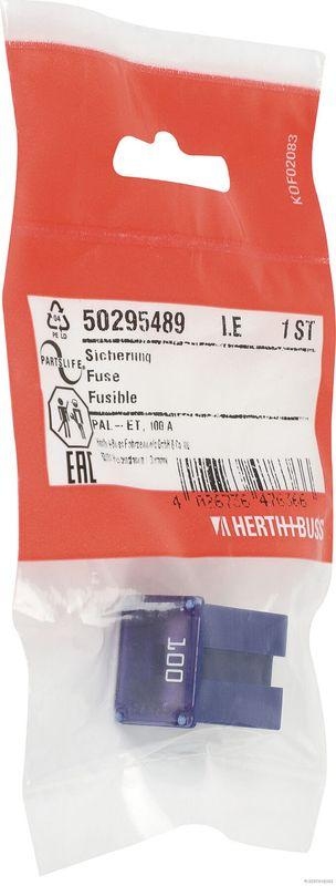 HERTH+BUSS 50295489 Sicherung PAL-ET, 100 A
