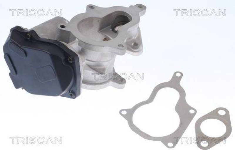 TRISCAN 8813 29019 Agr Ventil f&uuml;r Vag