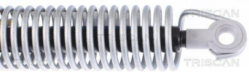 TRISCAN 8710 112013 Gasfeder Hinten f&uuml;r Bmw