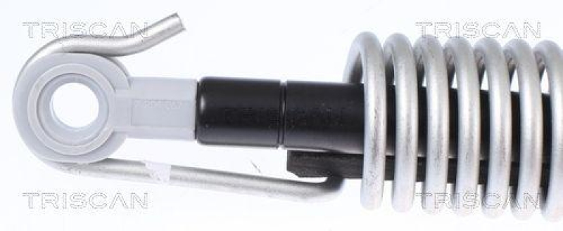 TRISCAN 8710 112014 Gasfeder Hinten f&uuml;r Bmw
