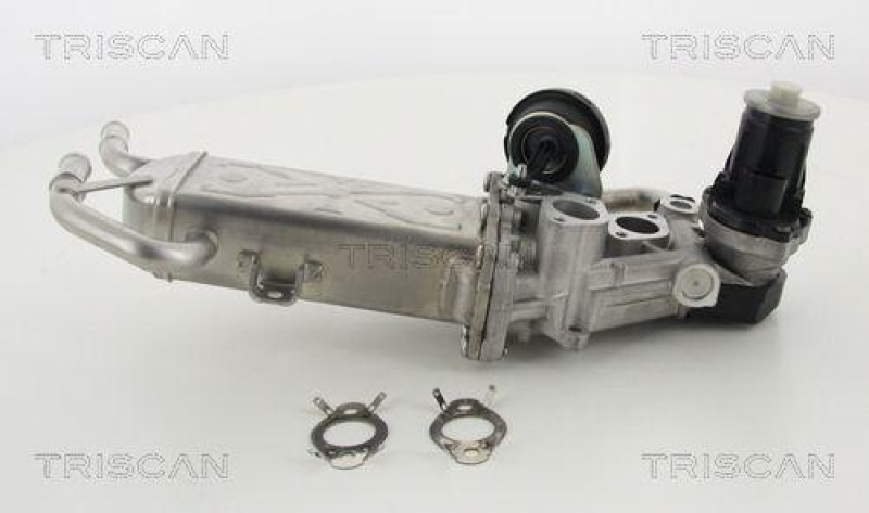 TRISCAN 8813 29325 Agr Ventil f&uuml;r Vag