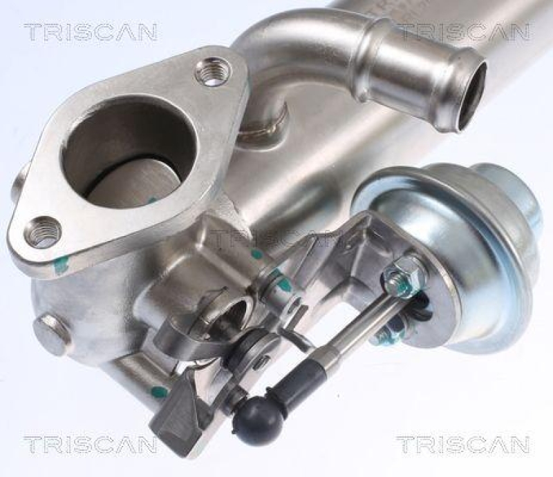 TRISCAN 8813 29326 K&uuml;hler, Abgasr&uuml;ckf&uuml;hrung f&uuml;r Volkswagen