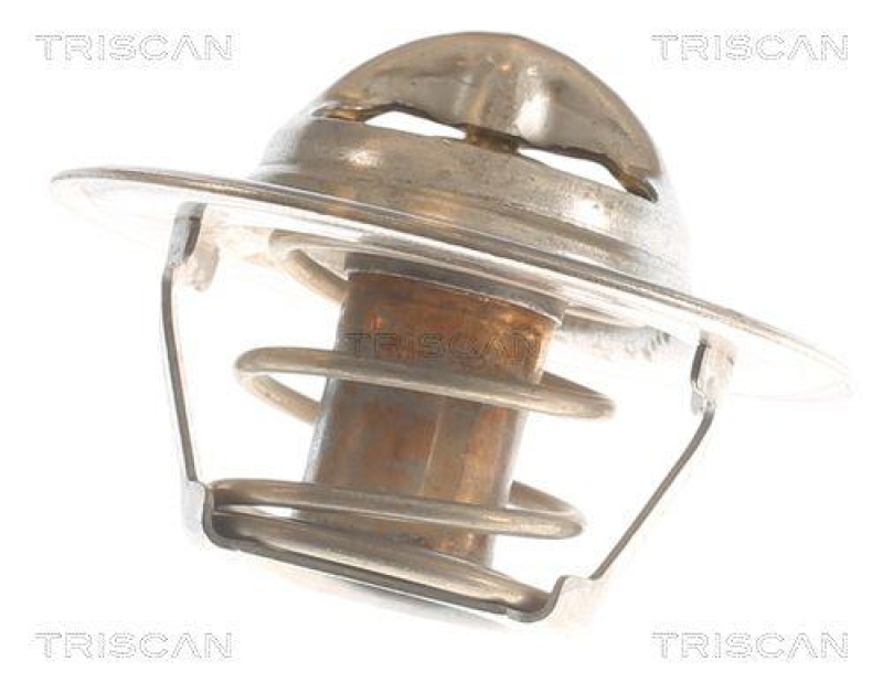 TRISCAN 8620 7882 Thermostat f&uuml;r Rover (1)
