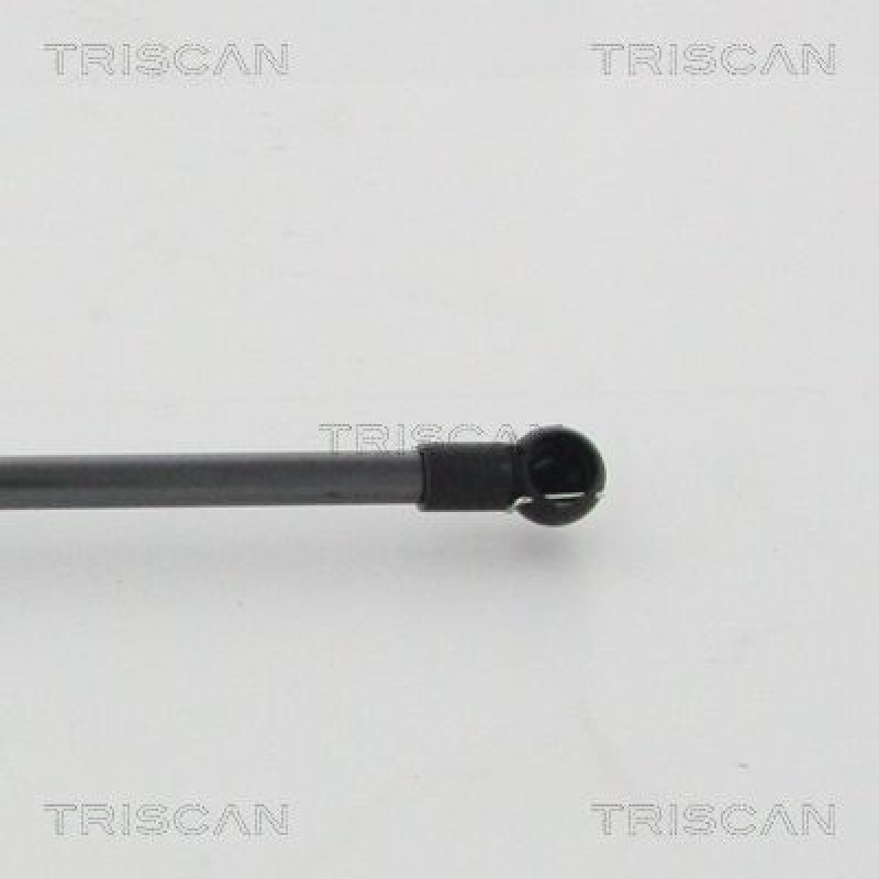 TRISCAN 8710 13101 Gasfeder Vorne für Toyota 120