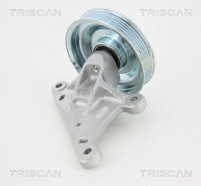TRISCAN 8641 282020 Umlenkrolle f&uuml;r Citroen