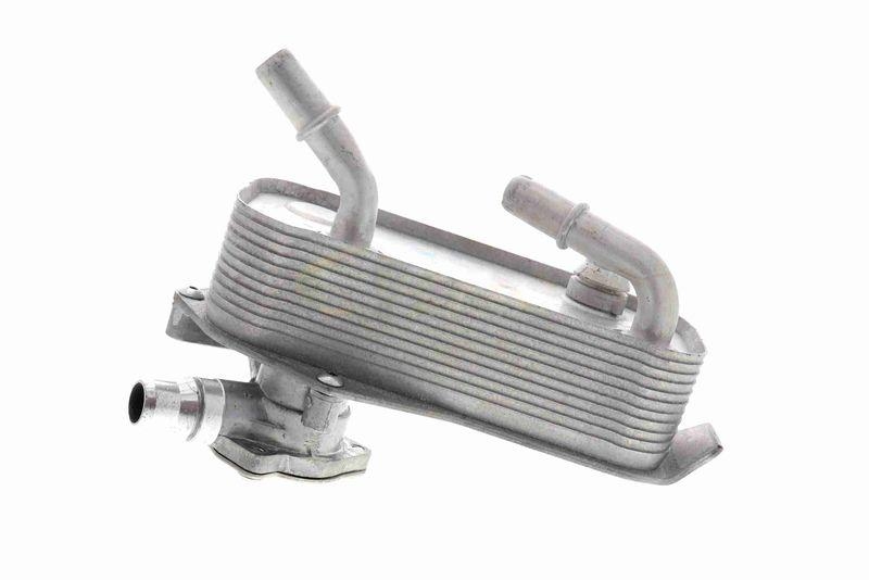 VEMO V20-60-1552 Ölkühler, Automatikgetriebe für BMW