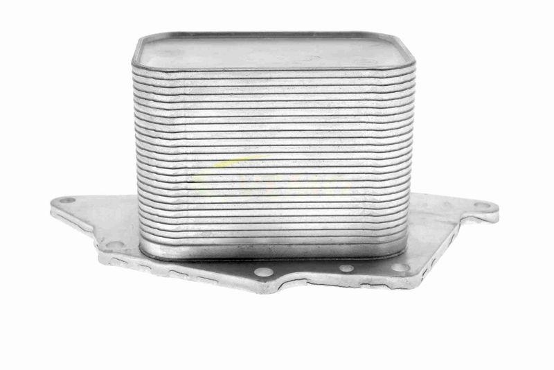 VEMO V20-60-1554 Ölkühler, Motoröl für BMW