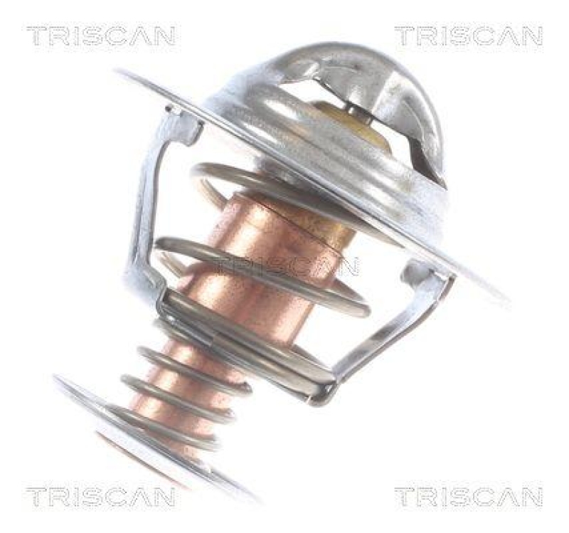 TRISCAN 8620 17591 Thermostat für Ford