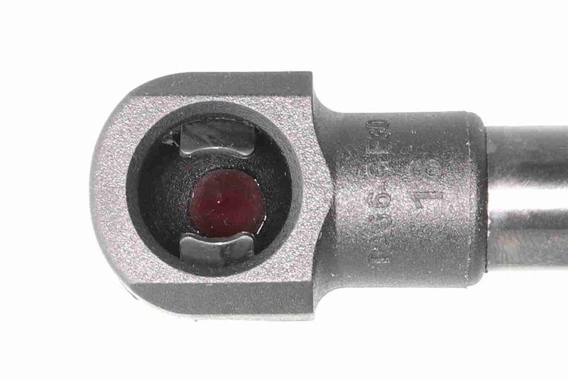 ACKOJA A38-0069 Gasfeder, Koffer-/Laderaum für NISSAN