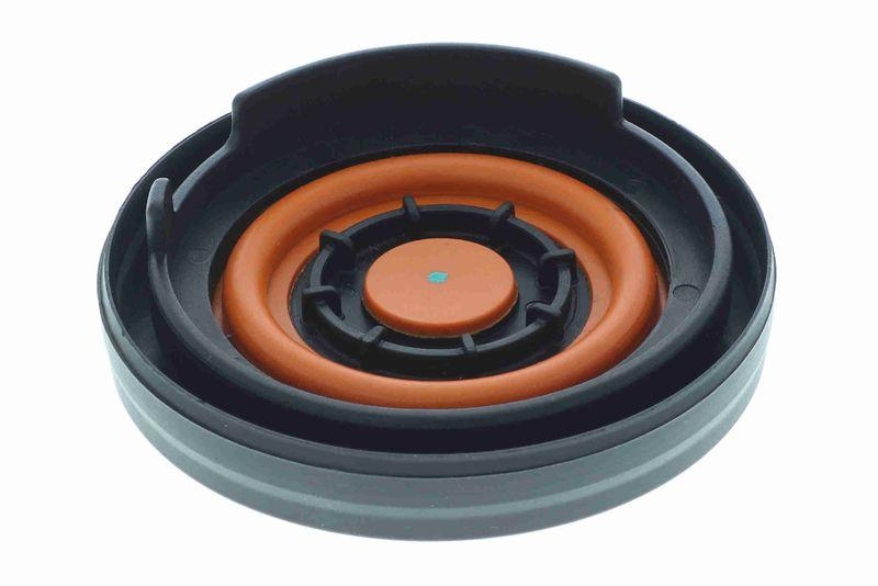 VAICO V20-3899 Ventil, Kurbelgeh&auml;useentl&uuml;ftung f&uuml;r BMW