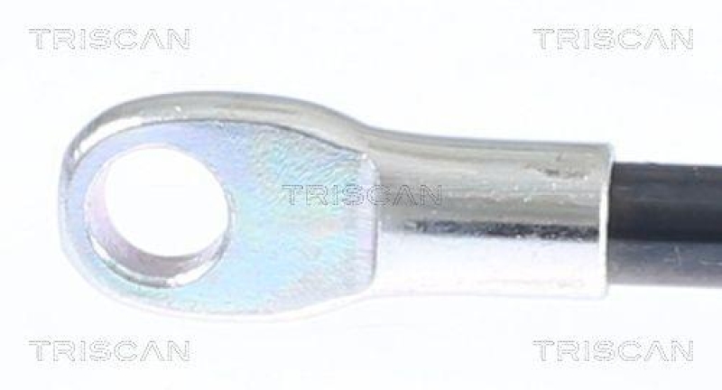 TRISCAN 8710 15216 Gasfeder Hinten f&uuml;r Fiat Panda