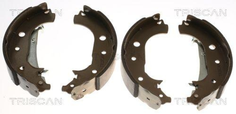 TRISCAN 8100 16016 Bremsbacken f&uuml;r Ford
