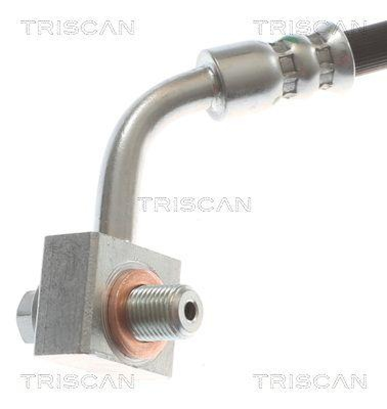 TRISCAN 8150 81010 Bremsschlauch Vorne f&uuml;r Tesla
