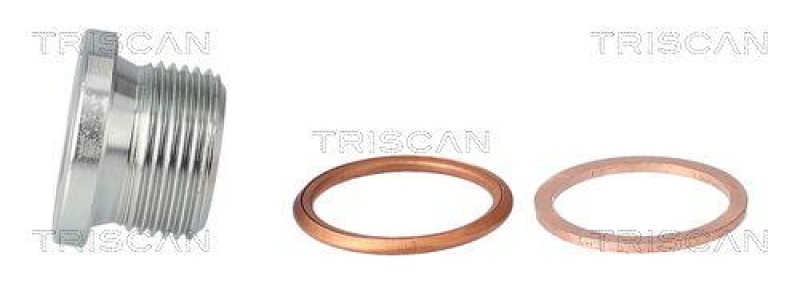 TRISCAN 9500 1007 &Ouml;lablassschraube f&uuml;r M22X1.5