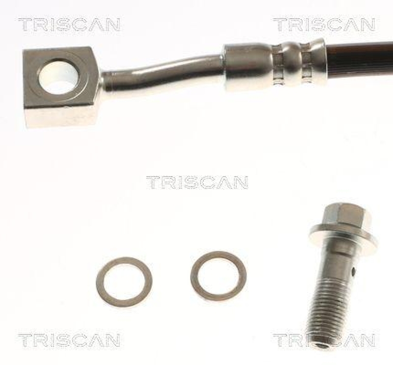 TRISCAN 8150 81209 Bremsschlauch Hinten f&uuml;r Tesla