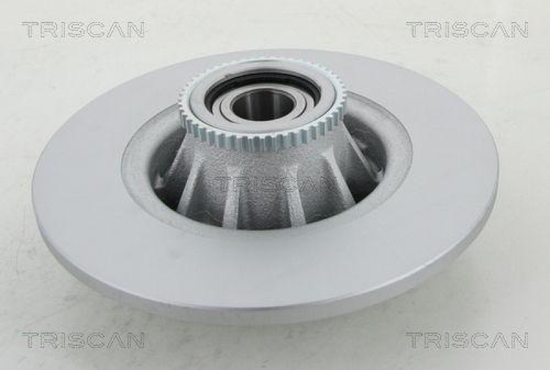 TRISCAN 8120 10191c Bremsscheibe Hinten, Coated für Nissan, Opel, Renault