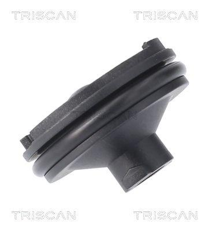 TRISCAN 9500 1023 &Ouml;lablassschraube f&uuml;r Peugeot, Citroen, Ford