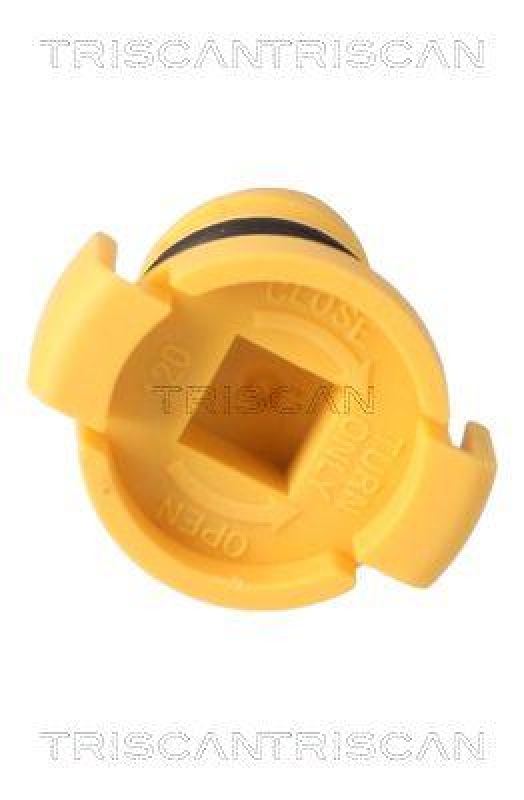 TRISCAN 9500 1602 &Ouml;lablassschraube f&uuml;r Ford