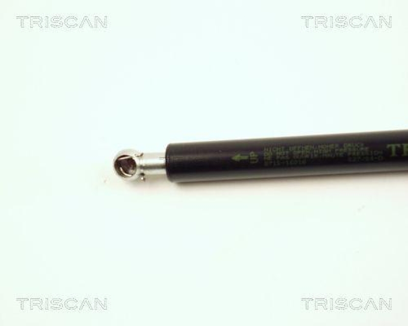 TRISCAN 8710 16216 Gasfeder Hinten für Ford Ka
