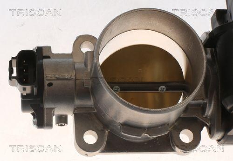 TRISCAN 8820 13014 Drosselklappen f&uuml;r Toyota