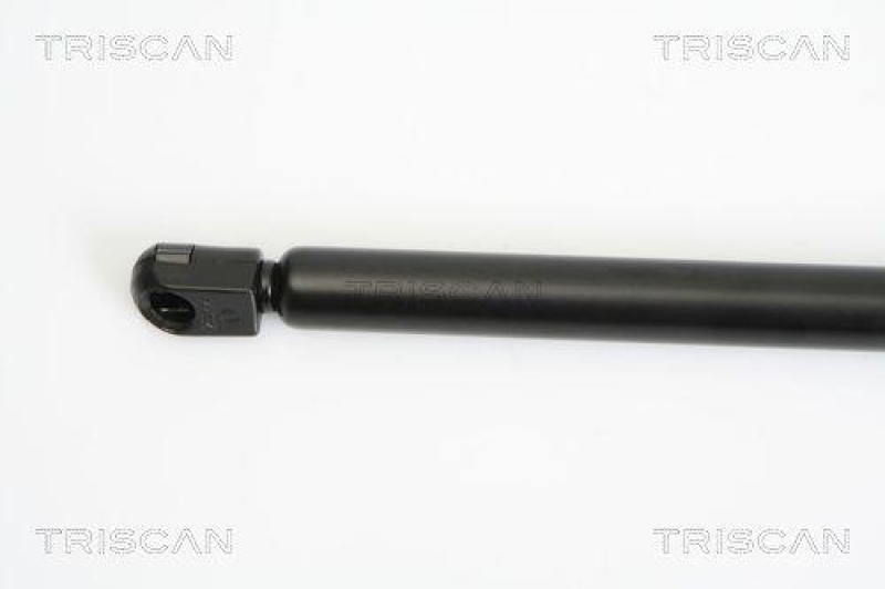 TRISCAN 8710 16249 Gasfeder Hinten für Ford Fiesta Vi