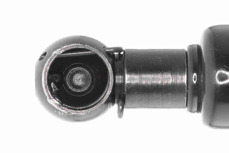 ACKOJA A64-0051 Gasfeder, Koffer-/Laderaum f&uuml;r SUZUKI