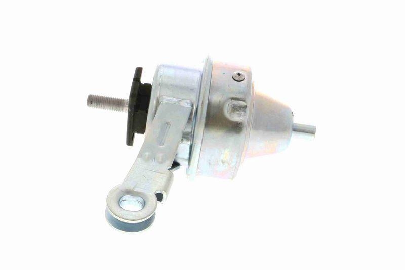 VAICO V20-1559 Lagerung, Motor rechts - Hydraulisch - Benzin für MINI