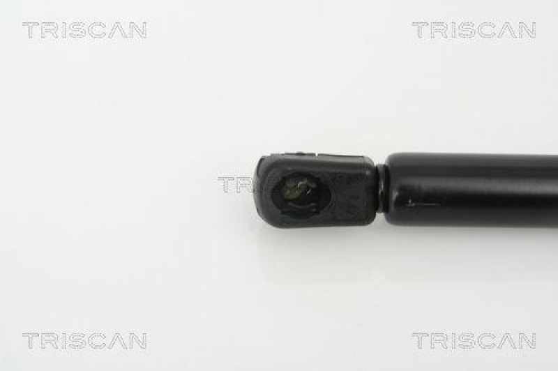 TRISCAN 8710 18212 Gasfeder Hinten für Kia Picanto