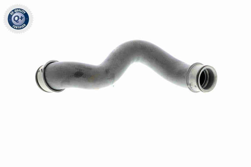 VAICO V30-2225 K&uuml;hlerschlauch rechts, unten f&uuml;r MERCEDES-BENZ