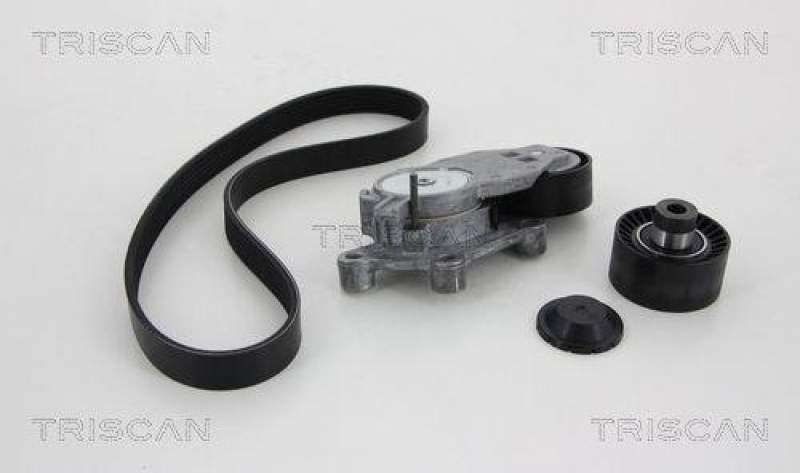TRISCAN 8642 10003 Keilrippenriemensatz f&uuml;r Peugeot