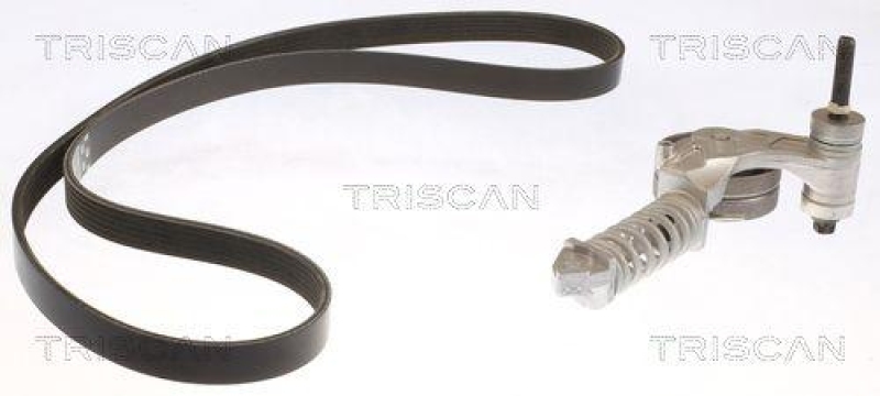 TRISCAN 8642 10024 Keilrippenriemensatz